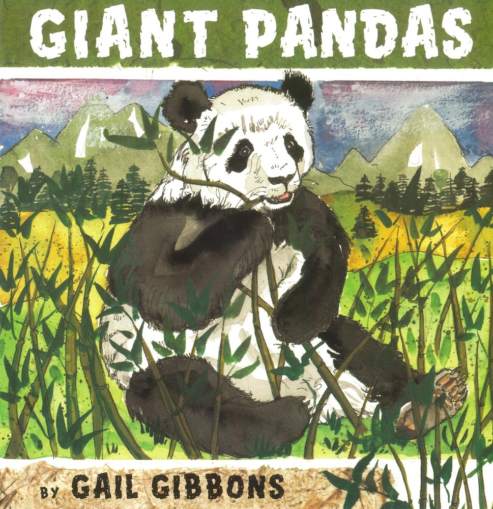 Giant Pandas by Gibbons