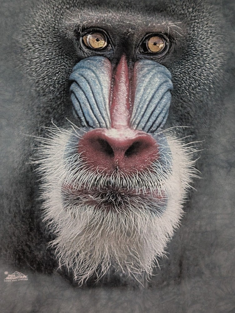 The Mountain Mens T-shirt Gray Face Of A Mandrill Monkey Retired Logo 2XL #6325