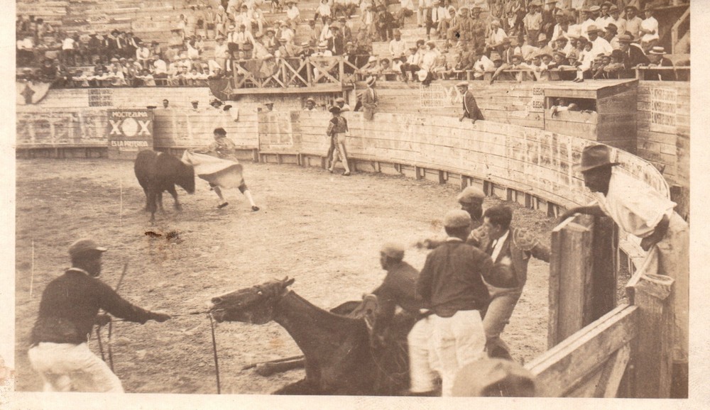 Real Photo Matador Bull Fighting - Likely Mexico - 1925 RPPC Postcard