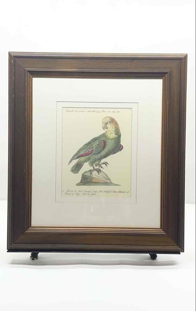Dunbar Mirror Fine Multicolor Framed Art Print Wall For Home Decor