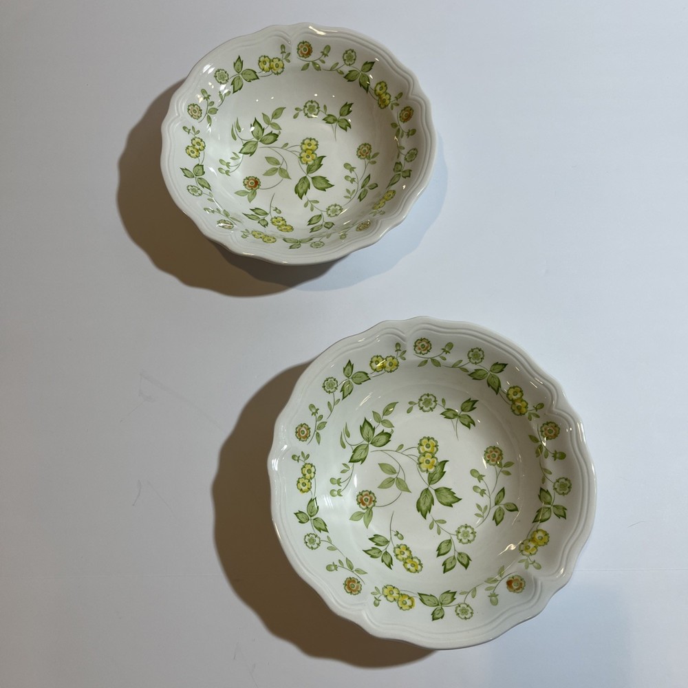 Petite Flora Ironstone by Sears #4009 Vintage 9 1/2