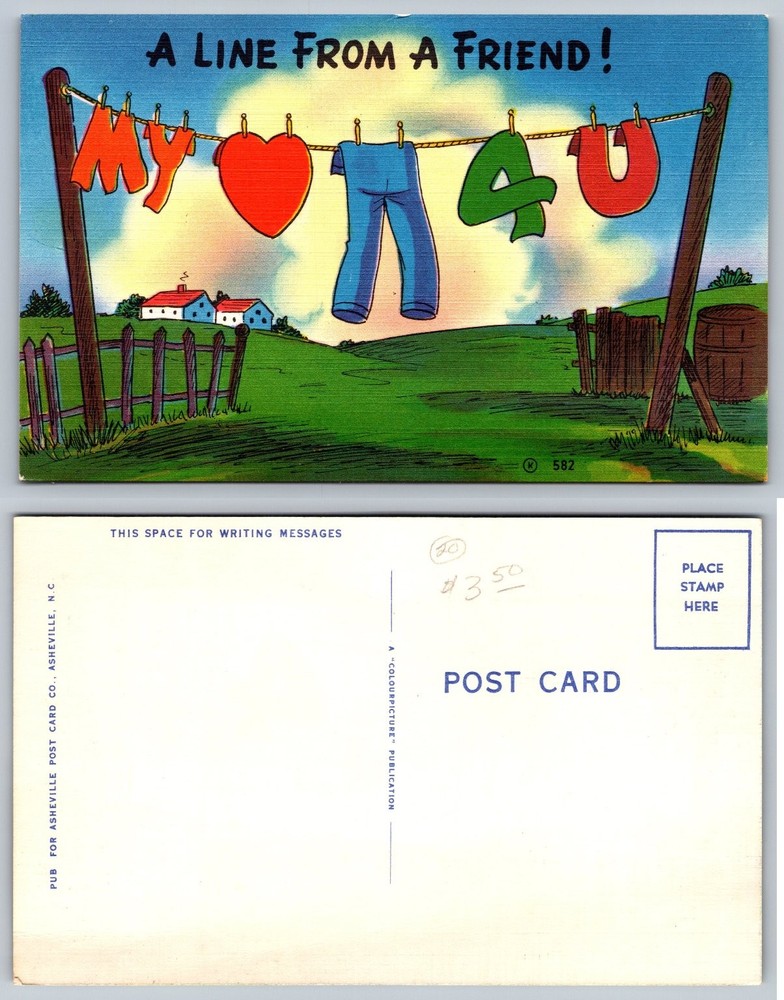 A Line From A Friend My Heart 4 U Clothesline Vintage Postcard Asheville NC