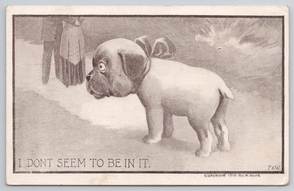 1910 Humorous Bulldog Puppy Dog 