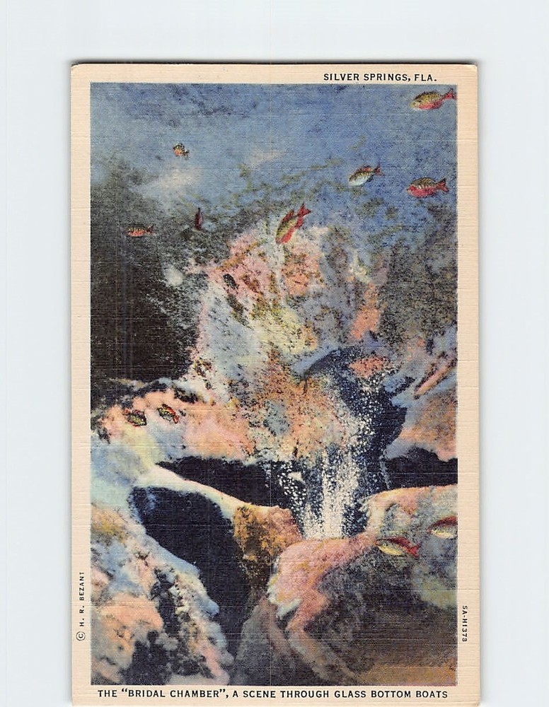 Postcard The Bridal Chamber Scene Through Glass Bottom Boat Silver Springs FL