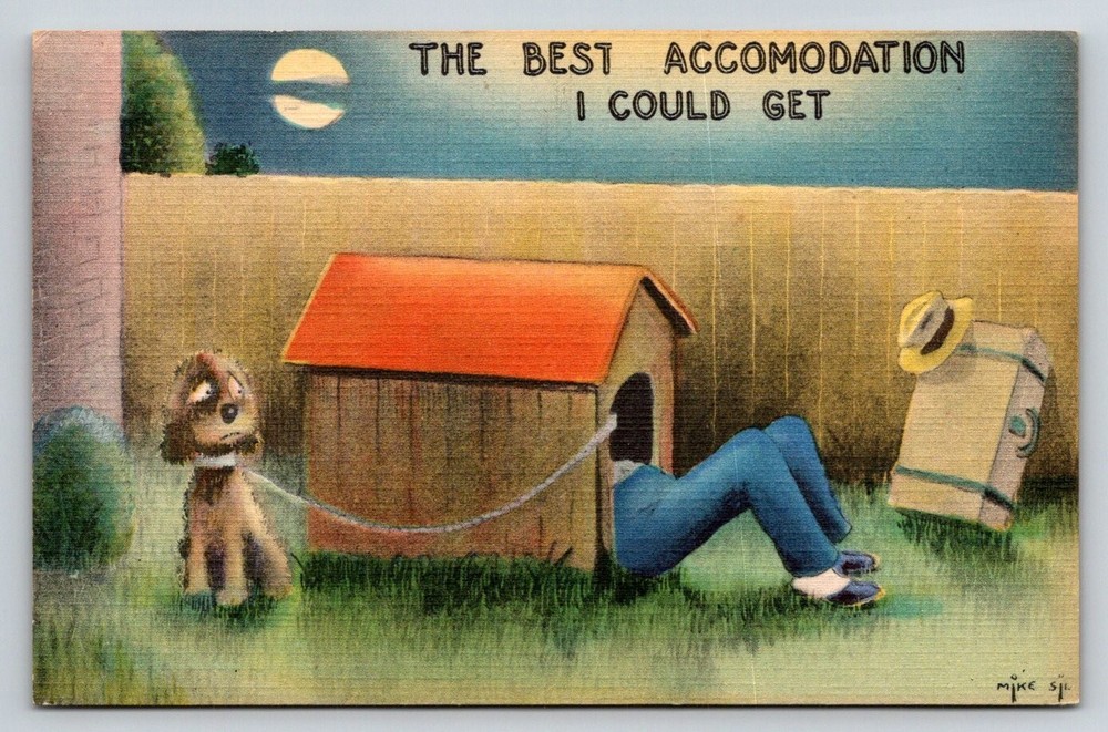 Vintage Humorous Linen Postcard Man in Doghouse 