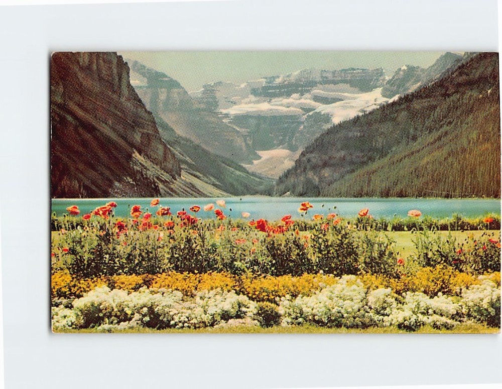 Postcard Lake Louise Banff National Park Alberta  Canada
