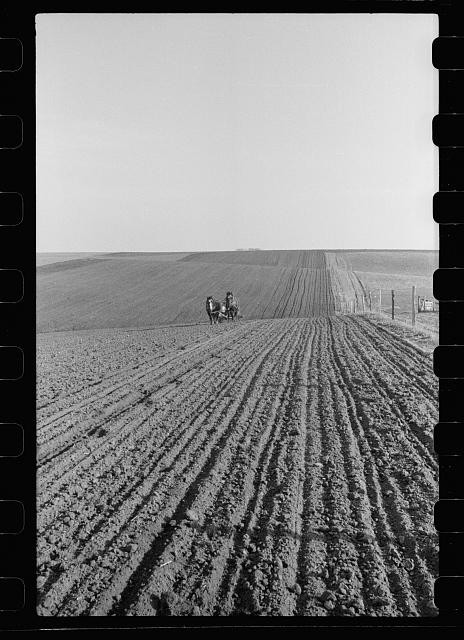 Photo:Jasper County Iowa 1940 Oiling Planter Corn Planting Farm Field