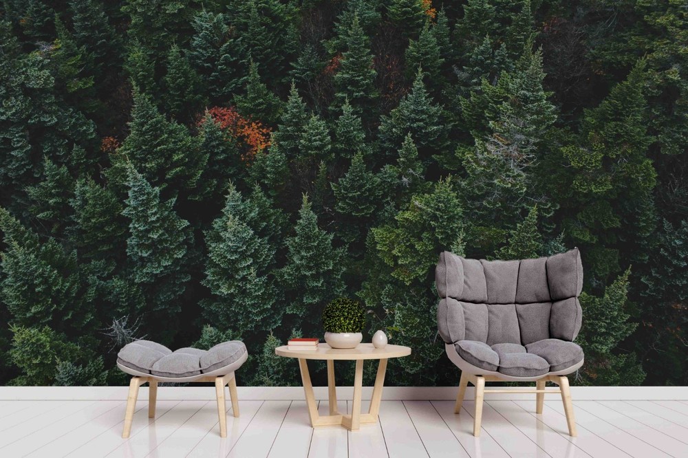 3D Overhead View Forest Landscape Wall Murals Wallpaper Murals Wall Sticker