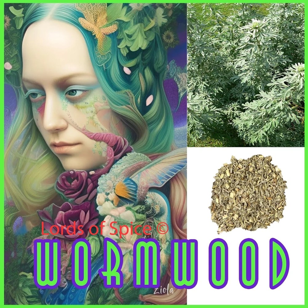 Wormwood Herb Tea (Artemisia Absinthium) Absinthe  USA Free Ship 2oz-image
