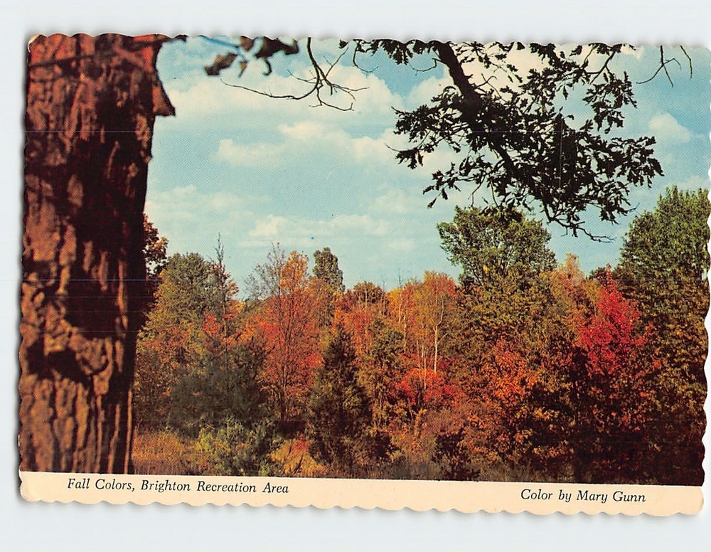 Postcard Fall Colors Brighton Recreation Area Michigan USA