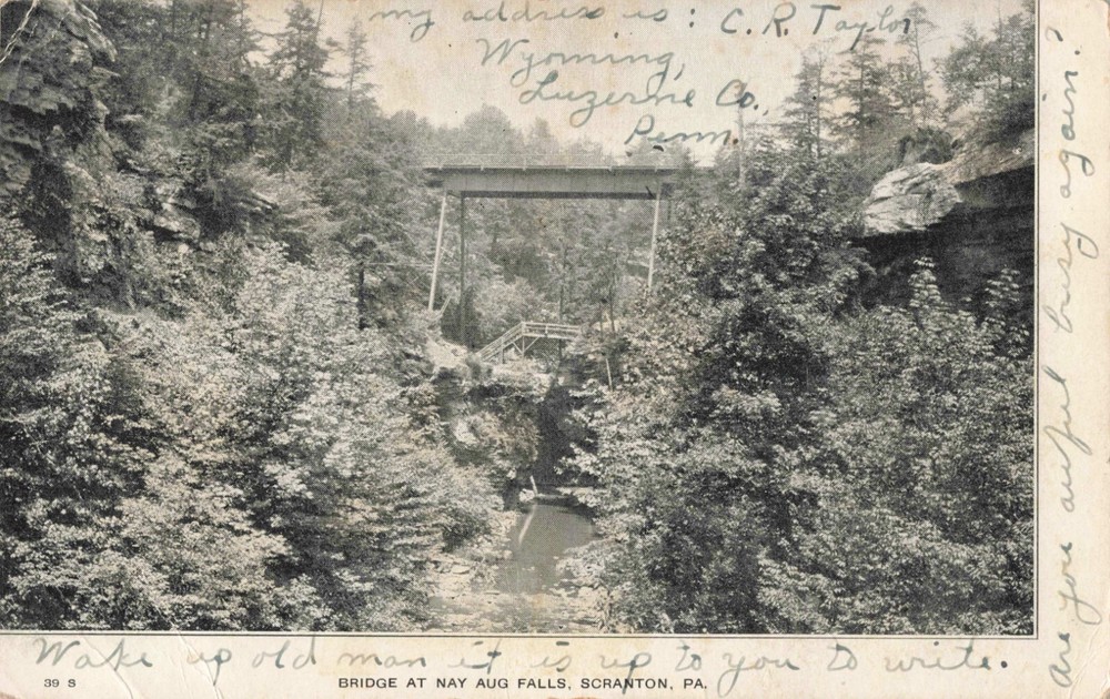 Bridge at Nay Aug Falls Scranton Pennsylvania PA 1906 Postcard