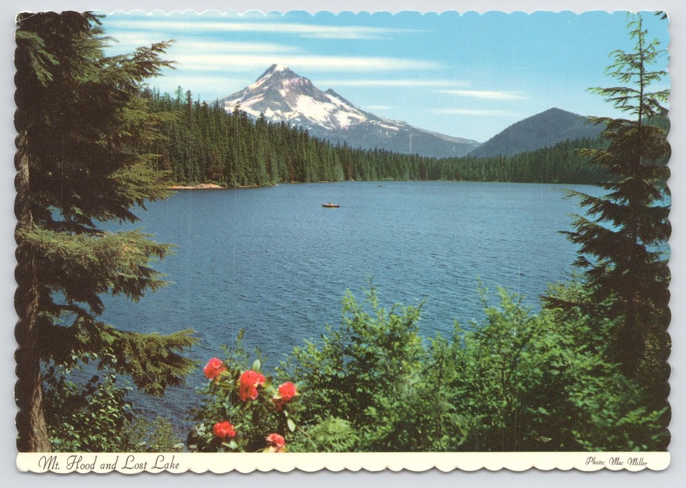 Oregon~Panorama Mt Hood & Lost Lake~Continental Postcard