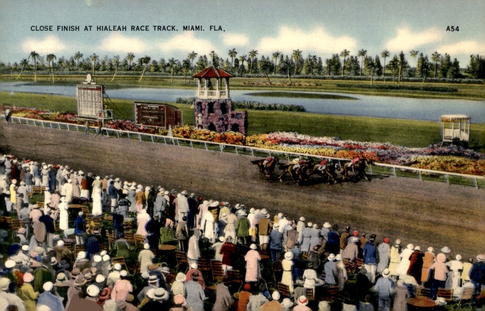 Close Finish at Hialeah Race Track, Miami, FL, 1954 Postcard