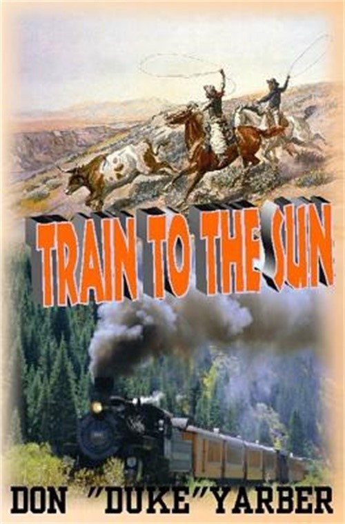 Train to the Sun (Paperback or Softback)
