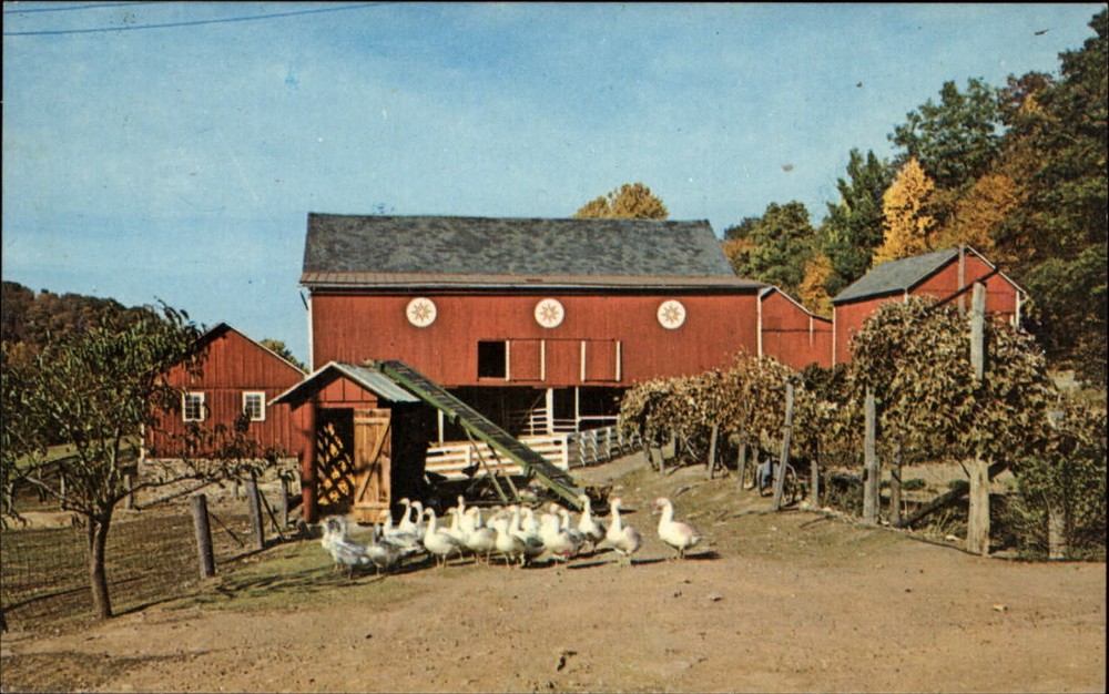 Gettysburg Pennsylvania farm barn geese hex sign unused vintage postcard