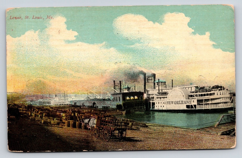 Steamship~St Louis Missouri~Levee Scene~Riverboats~Cargo~Horse~1914 Postcard