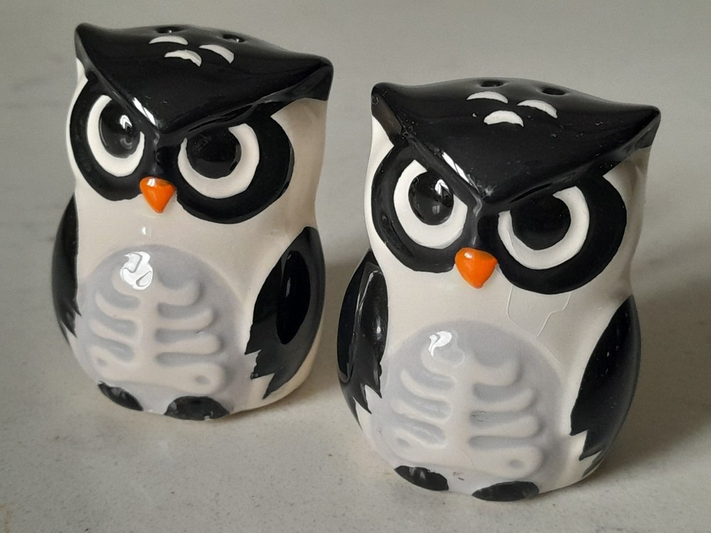Kitschy Halloween Owl Salt And Pepper Set Skeleton Style Ceramic