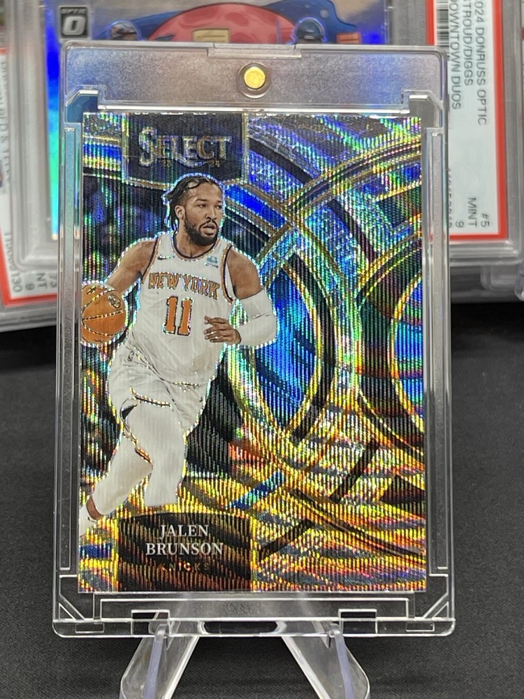 2023-24 Select Jalen Brunson Elephant Skin Prizm