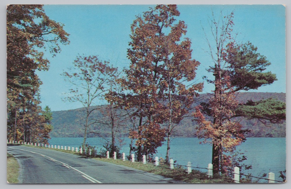 State View~Cooperstown New York~Otsego Lake~Vintage Postcard