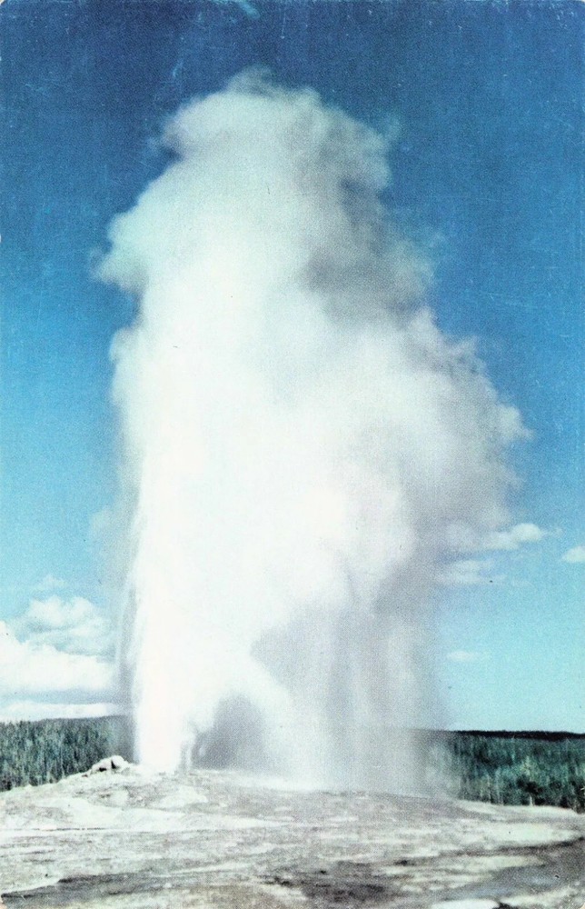 Old Faithful Geyser - Yellowstone National Park - Wyoming WY - Postcard