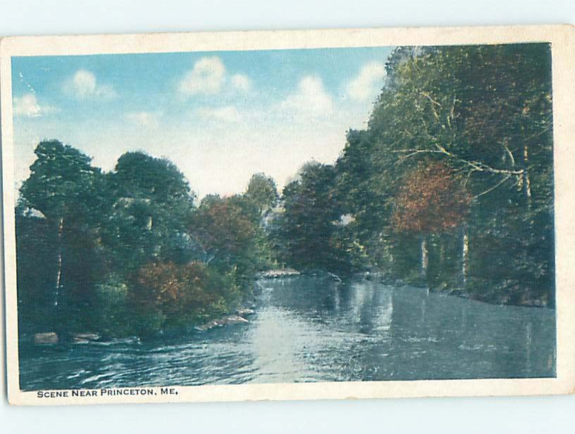 W-border NATURE SCENE Princeton - Near Baileyville Maine ME m/09 AD4727