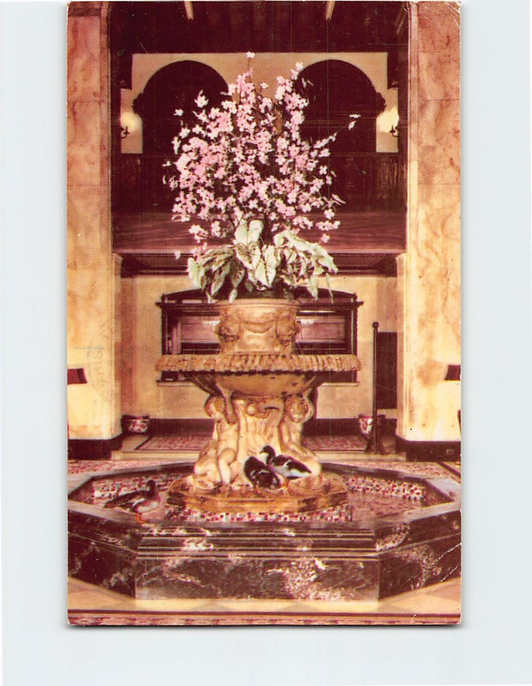 Postcard Famous Ducks Hotel Peabody Memphis Tennessee