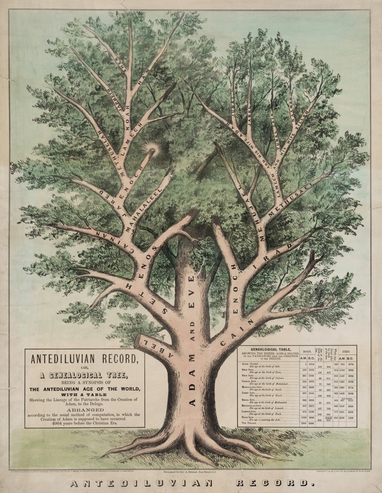 Biblical Genealogy Tree Wall Art - Antediluvian Poster for Home Decor  
