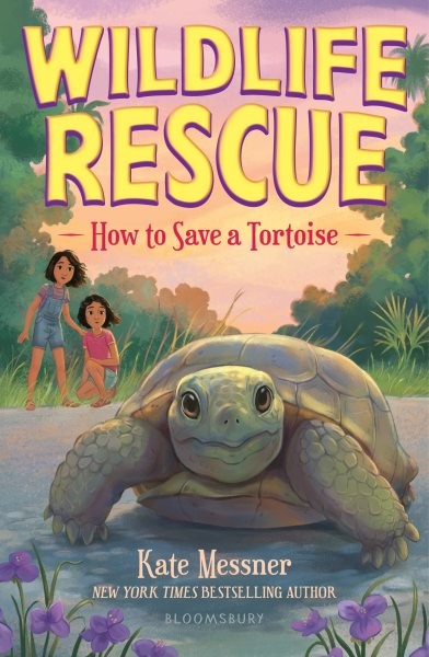 How to Save a Tortoise, Paperback by Messner, Kate, Like New Used, Free shipp...