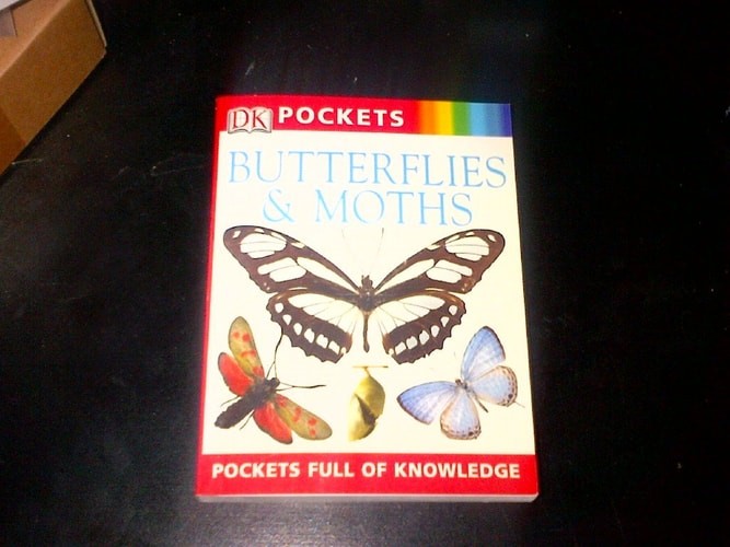 Pocket Guides: Butterflies and Moths, Taylor, Barbara, Good Book