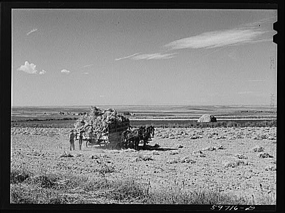 Scotts Bluff County,Nebraska,NE,Farm Security Administration,1941,FSA,11