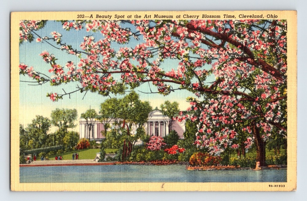 Postcard Ohio Cleveland OH Art Museum Cherry Tree Blossom 1940s Unposted Linen