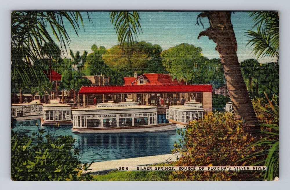 Florida FL Silver Springs Source Of Silver River Vintage Postcard