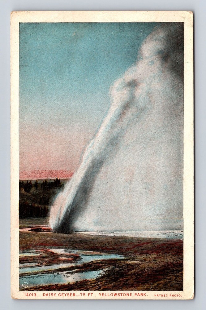 Yellowstone National Park-Daisy Geyser, Antique Vintage Souvenir Postcard