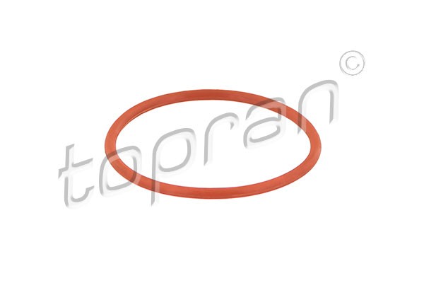 Intake manifold hose gasket for A6 C6; SEAT ALHAMBRA