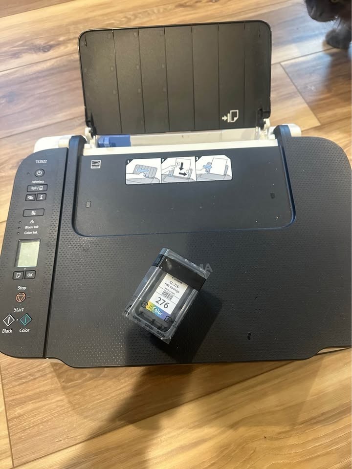Canon PIXMA TS3522 Wireless All-in-One Printer