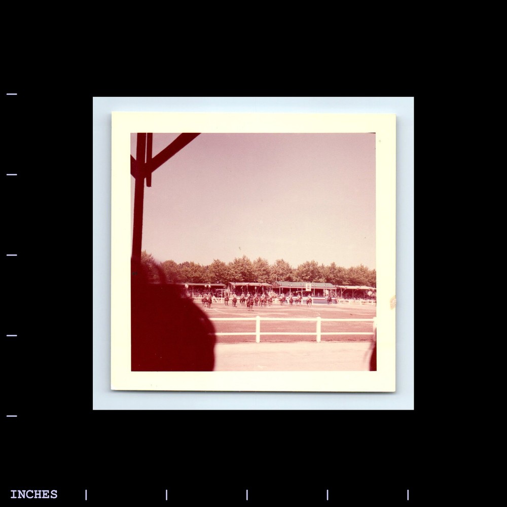 Square Color Photo HORSES ON FIELD WITH RIDERS