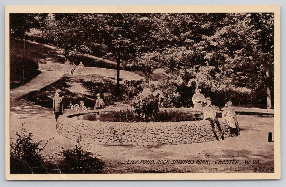 Lily Pond Rock Springs Park Chester WV Postcard Early 1900s Divided Back