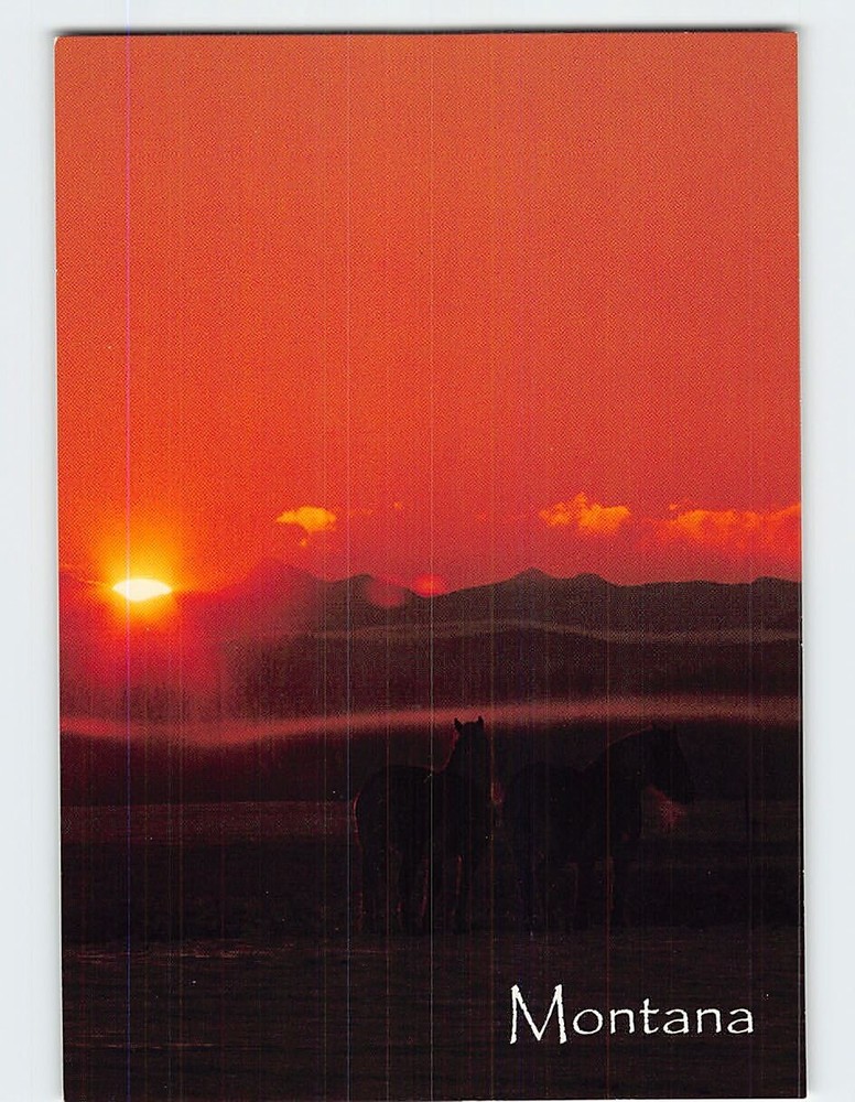 Postcard The Dawn Of Winter's day in Big Sky Country Montana