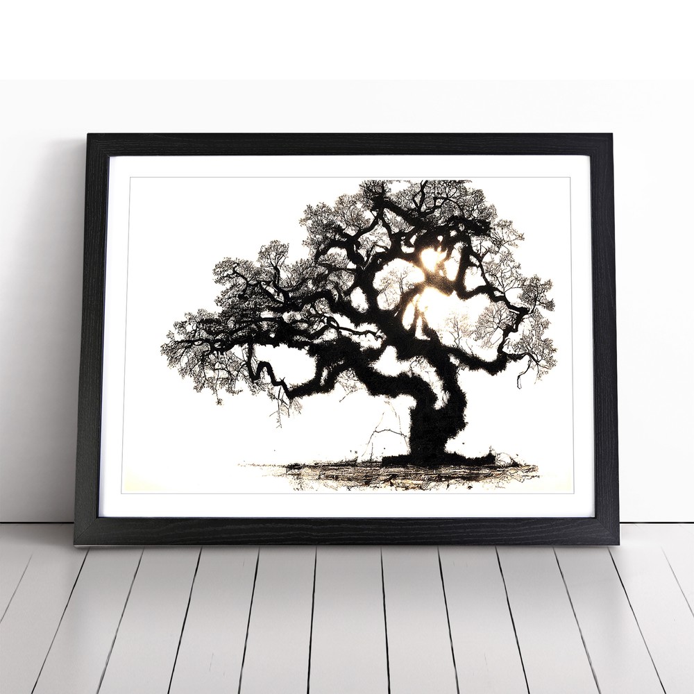 Head Turning Oak Tree Framed Canvas Wall Art Print Poster Picture, Home Decor