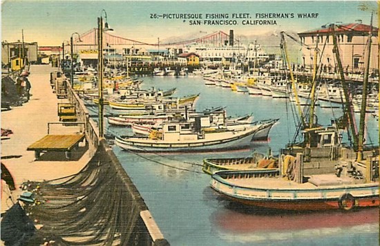 CA, San Francisco, California, Pictureesque Fishing Fleet, Scenic View Card Co.