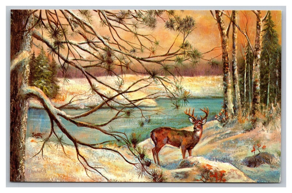 Buck Deer Painting by Robert Scott, Published Eau Claire, WI, Vintage Postcard