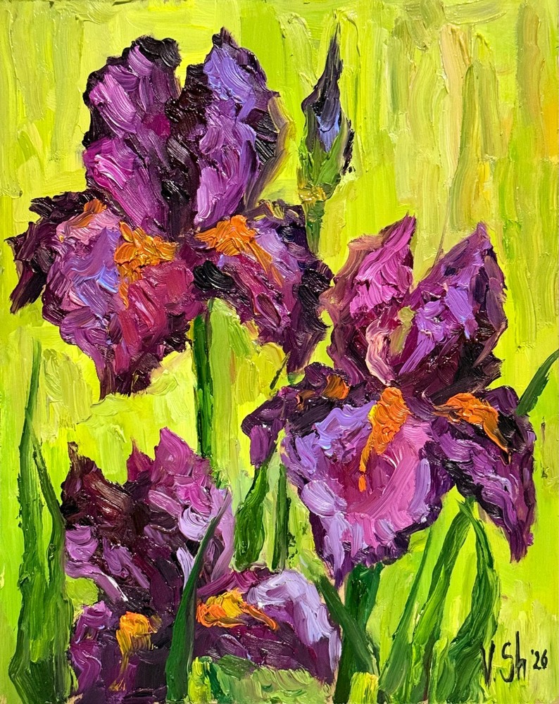Original Oil Painting Irises Flowers Spring Impressionist Still Life Art Signed