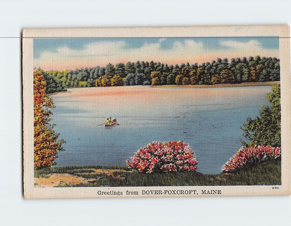 Postcard Nature Scene Greetings from Dover-Foxcroft Maine USA