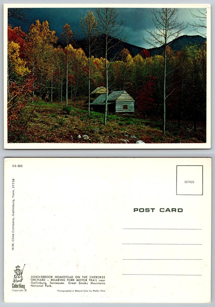 Vintage Junglebrook Homestead Great Smoky Mountains TN Roaring Fork Autumn