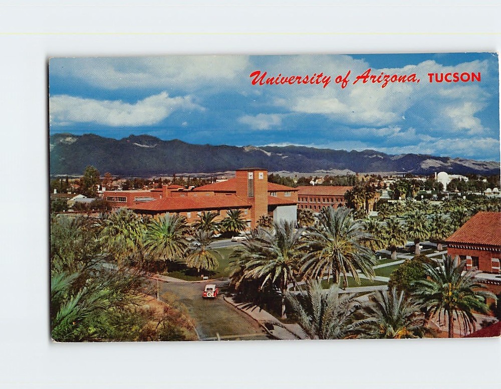 Postcard University of Arizona Tucson Arizona USA