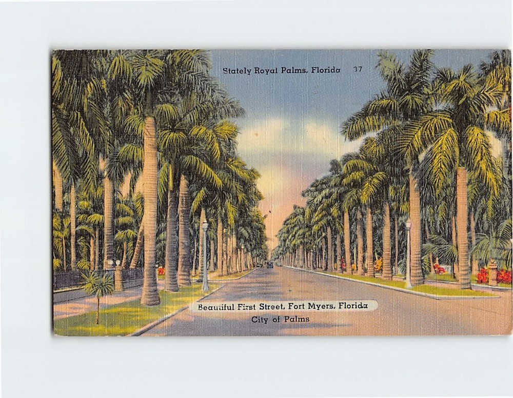 Postcard Beautiful First Street Stately Royal Palms Fort Myers Florida USA
