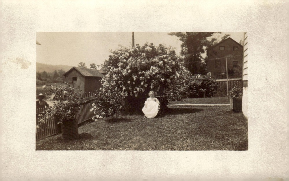 C1910 Rural Garden Child in White Dress Hydrangea RPPC Real Photo Postcard