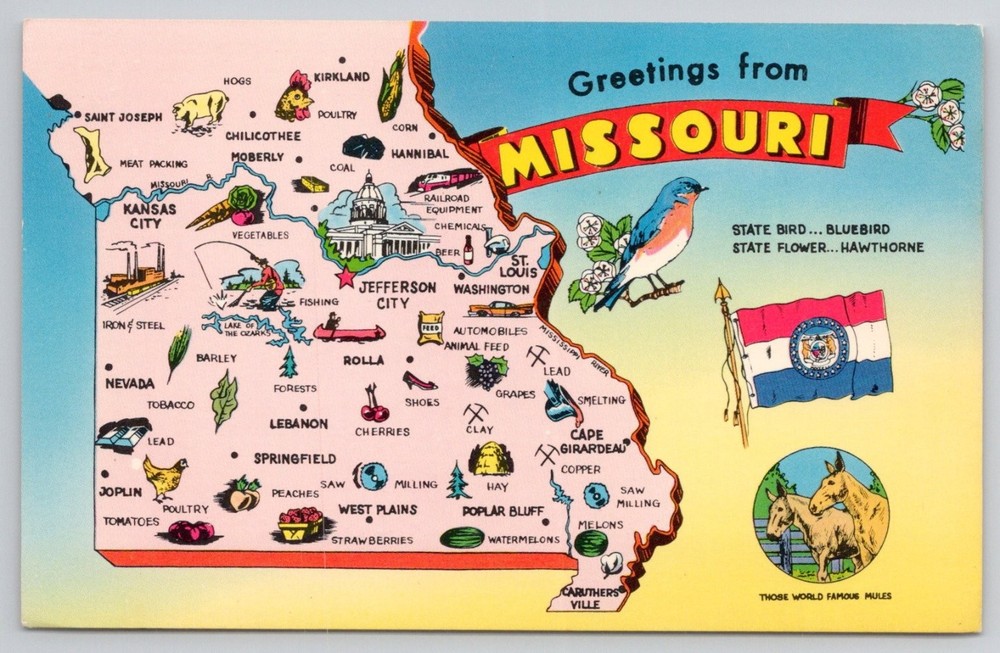 Vintage Greetings from Missouri Pictorial Map Postcard Lusterchrome Tichnor