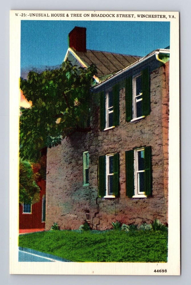 Winchester VA-Virginia Unusual House & Tree On Braddock Street Vintage Postcard