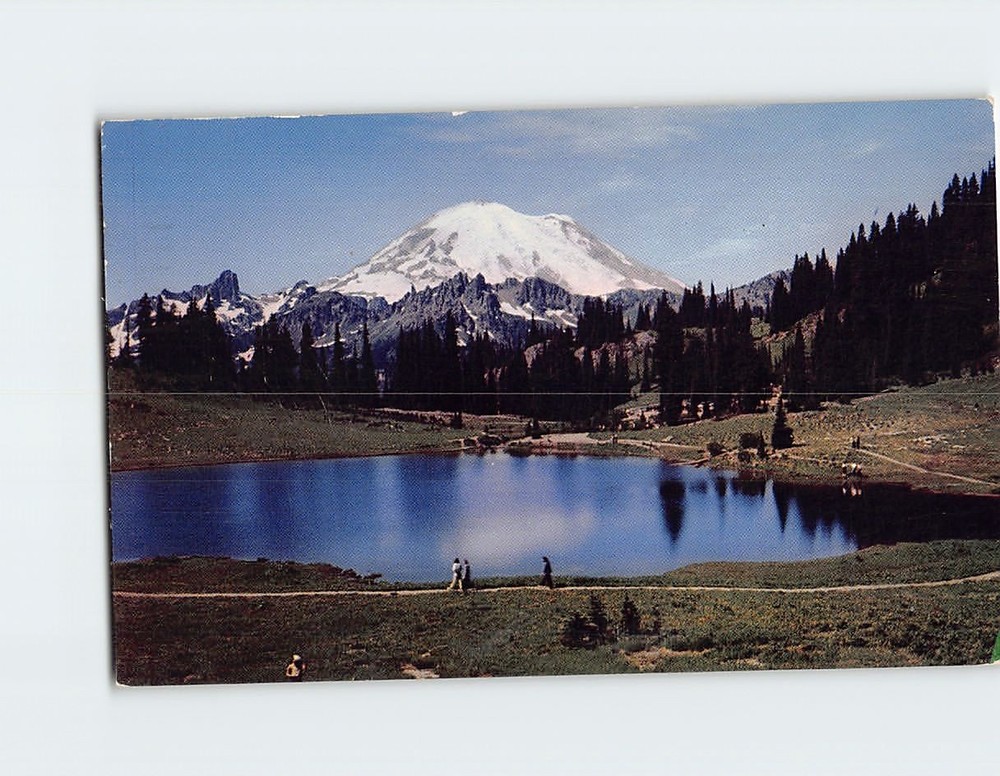 Postcard Mount Rainier And Tipsoo Lake Rainier National Park Washington USA